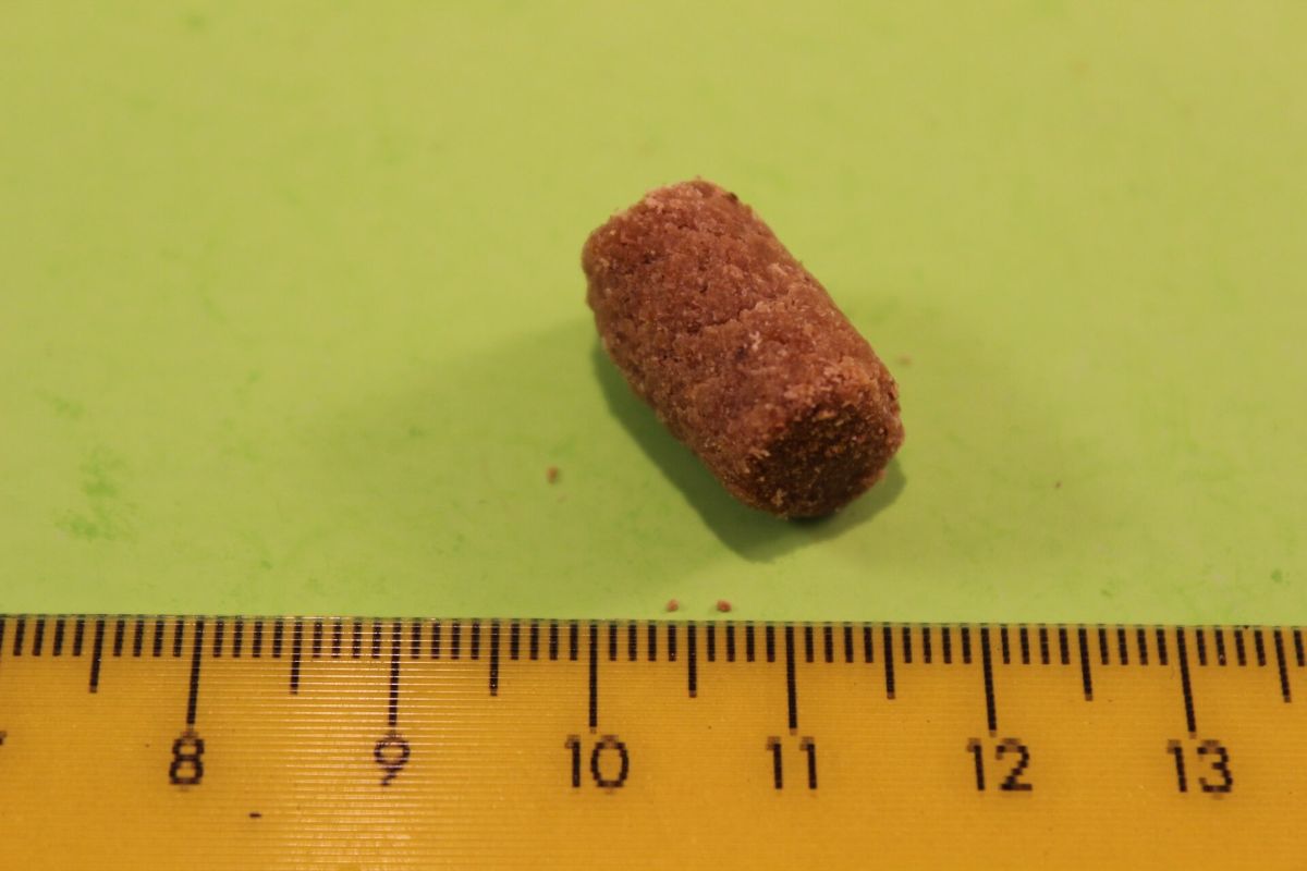 trainingshappen_huhn einzeln mit Lineal auf grünem Hintergrund