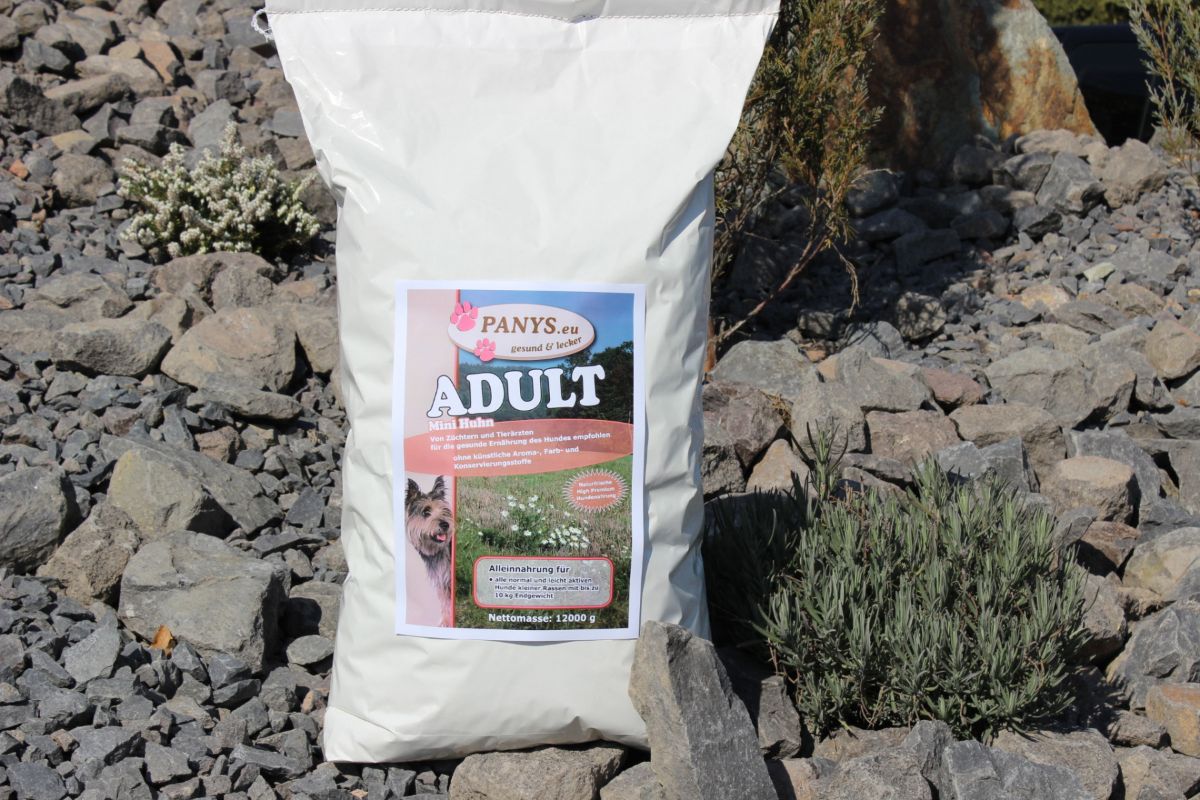 Adult Mini Huhn (Züchterangebot 3+1 gratis)